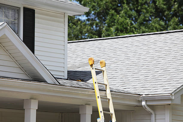 Affordable siding repair and maintenance services in New Town, ND